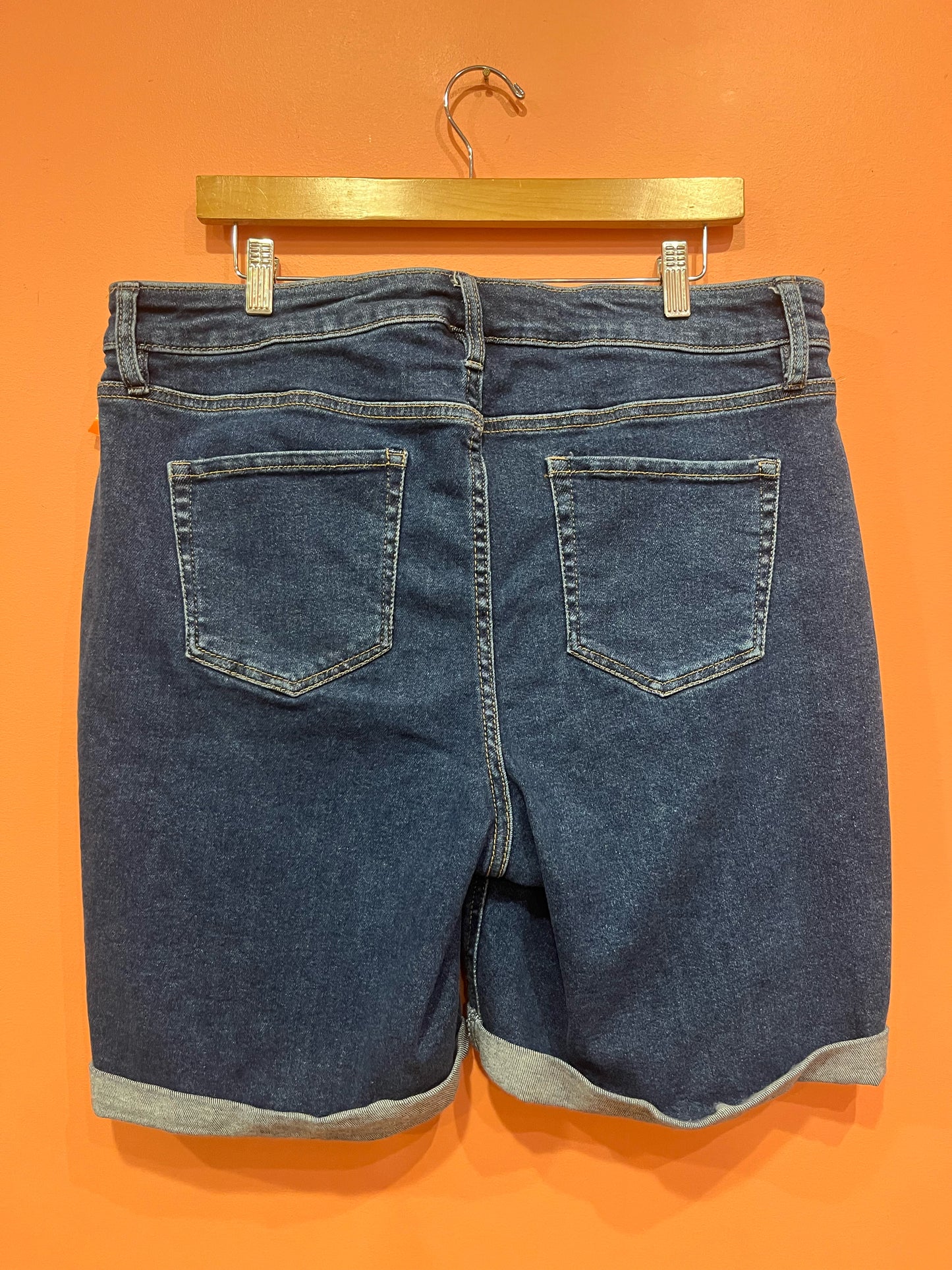 Size 16 ava & viv Shorts