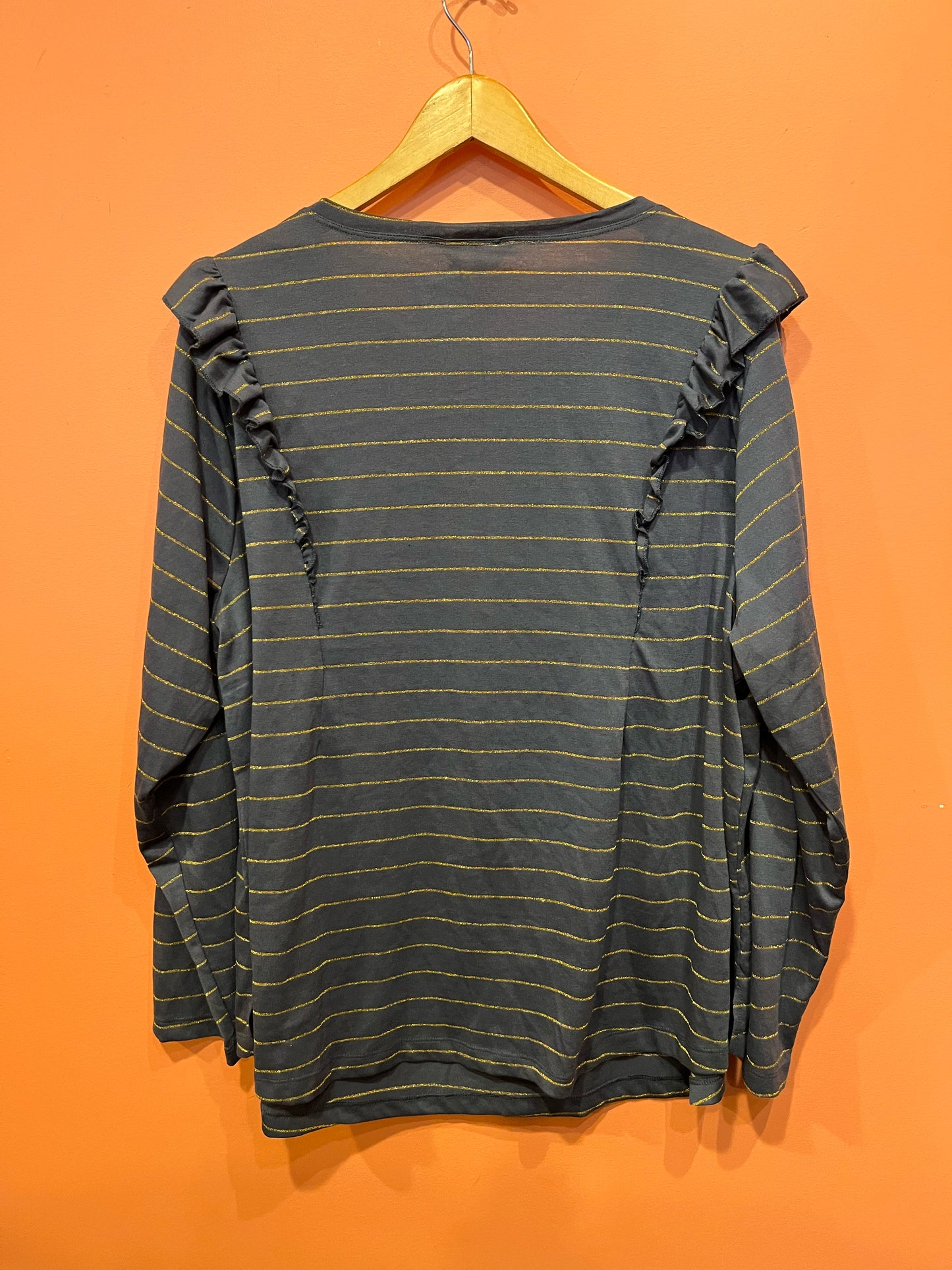 Size 3X Terra & Sky Shirt