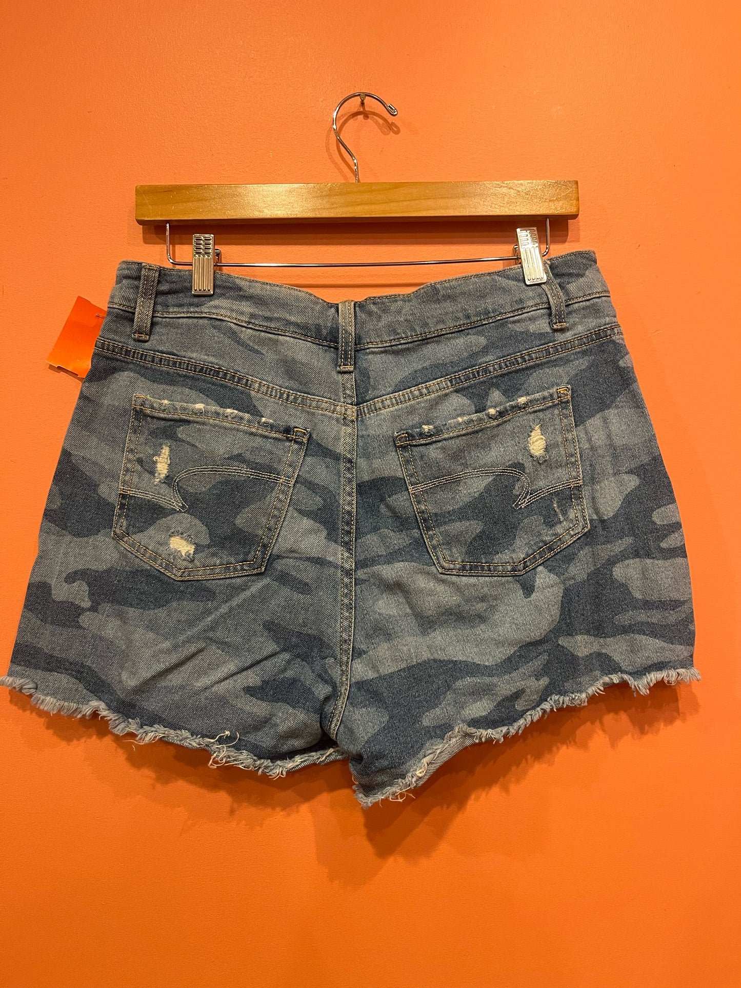 Size 10 Time & True Shorts