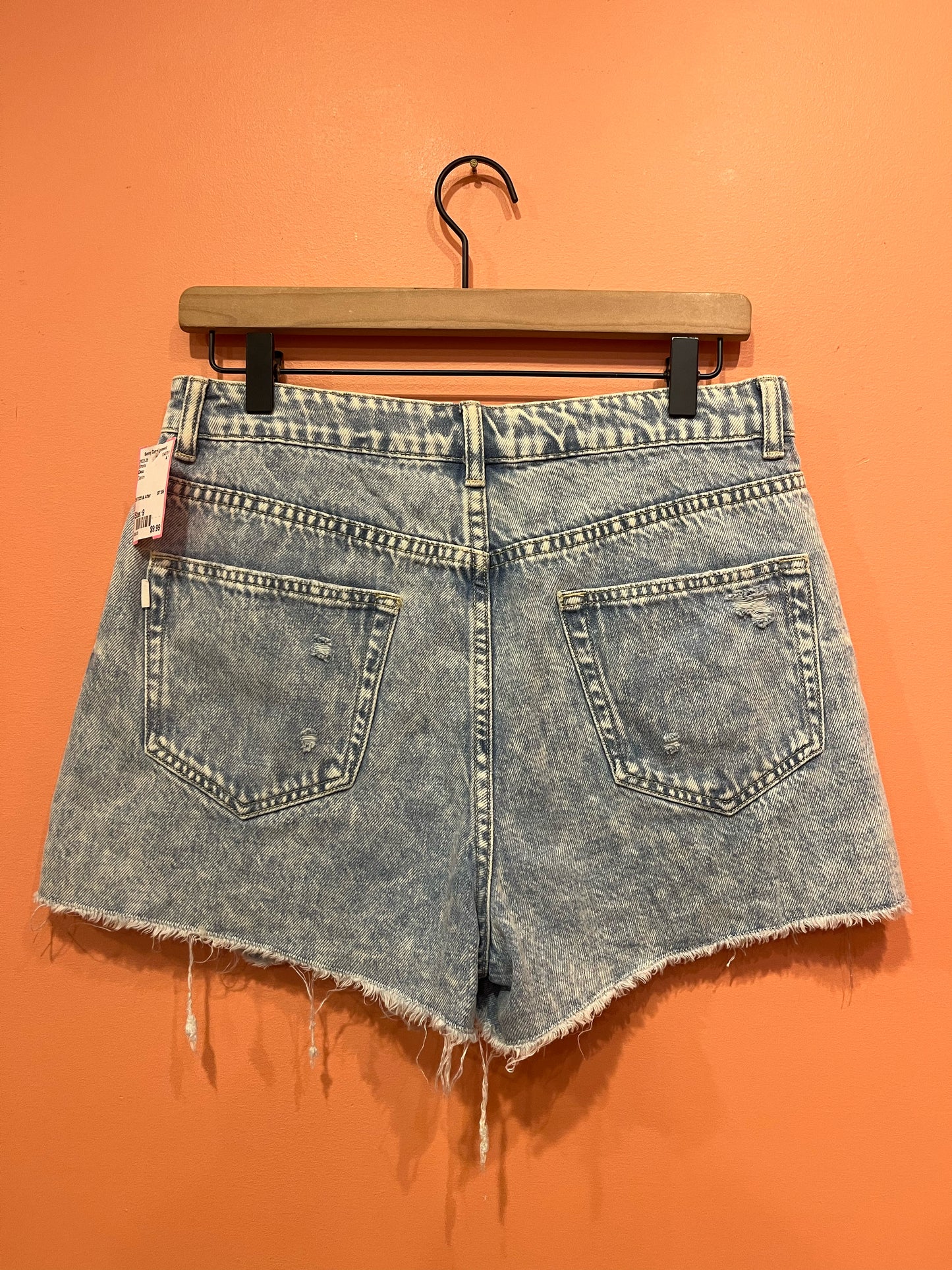 Size 9 Desu Shorts