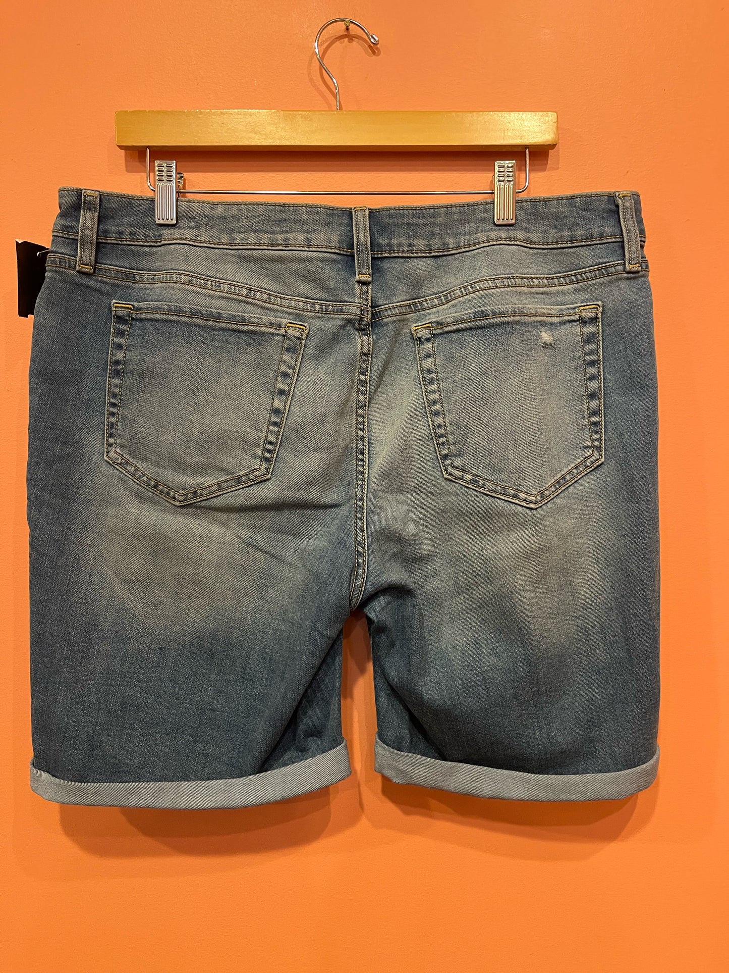 Size 16 Stylus Shorts
