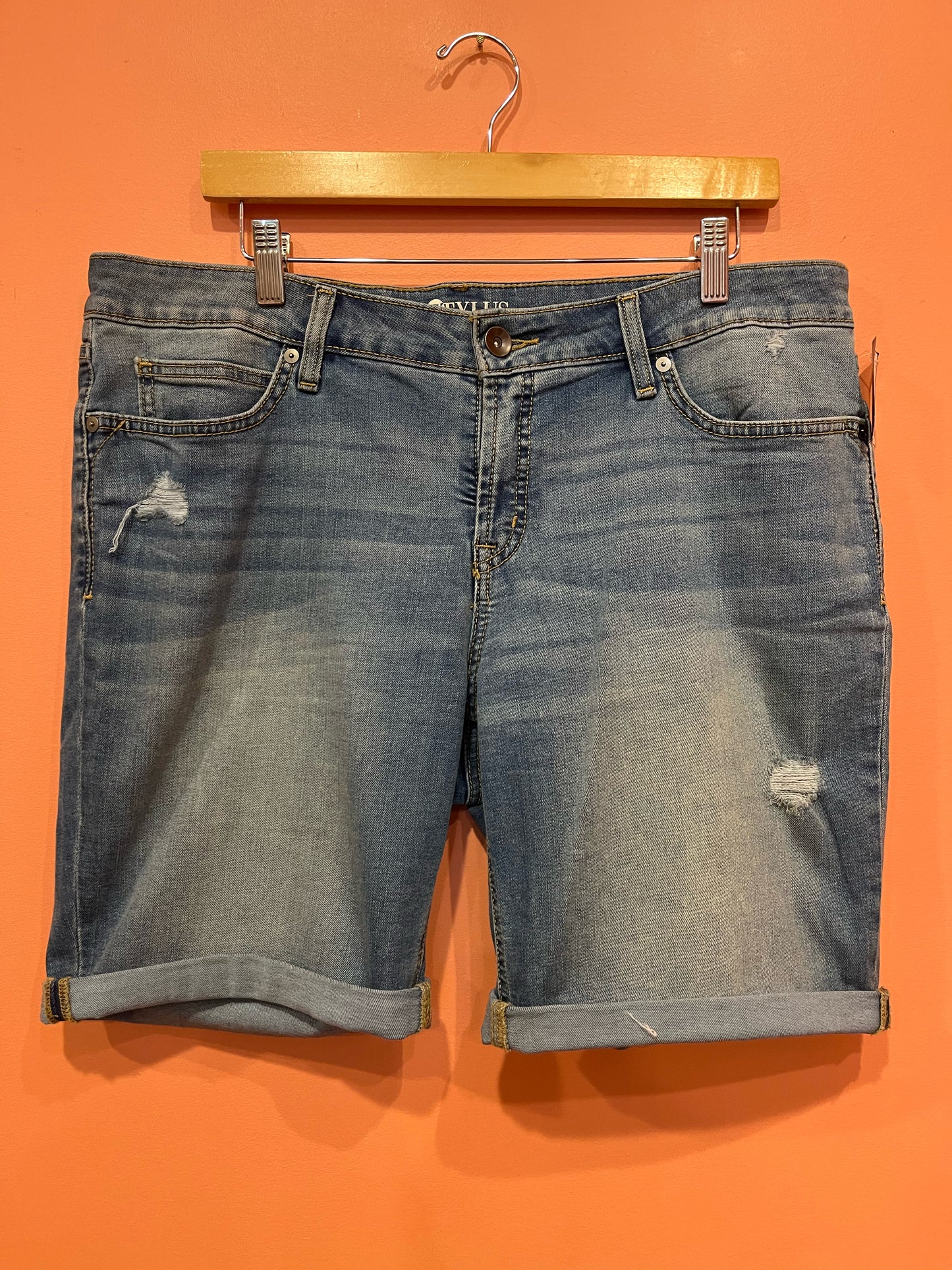 Size 16 Stylus Shorts