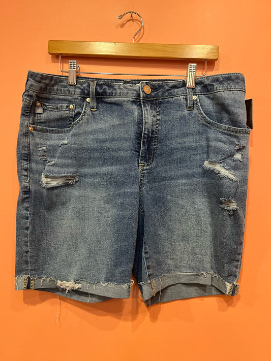 Size 12 Seven 7 Shorts