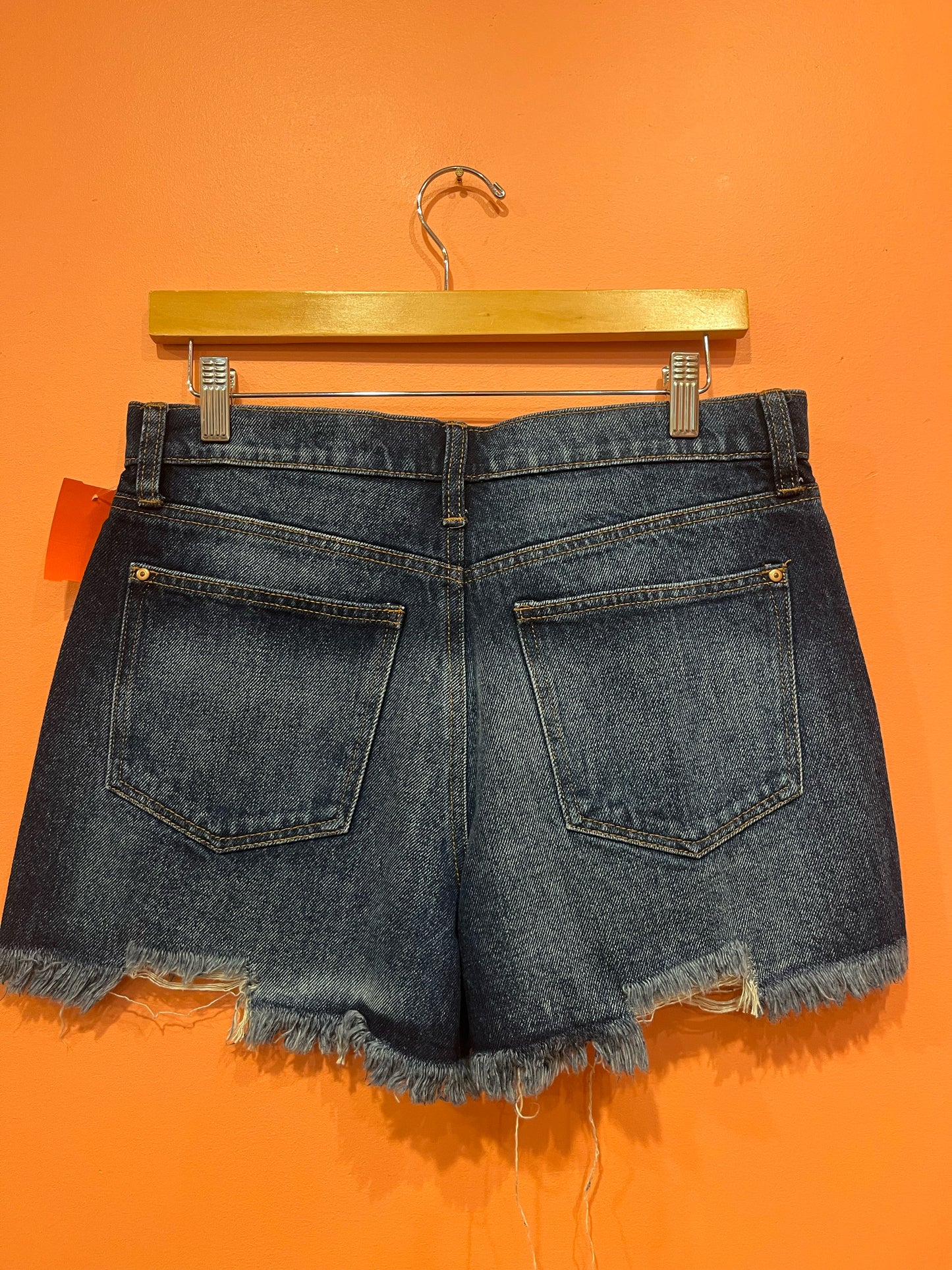Size 11 No Boundaries Shorts