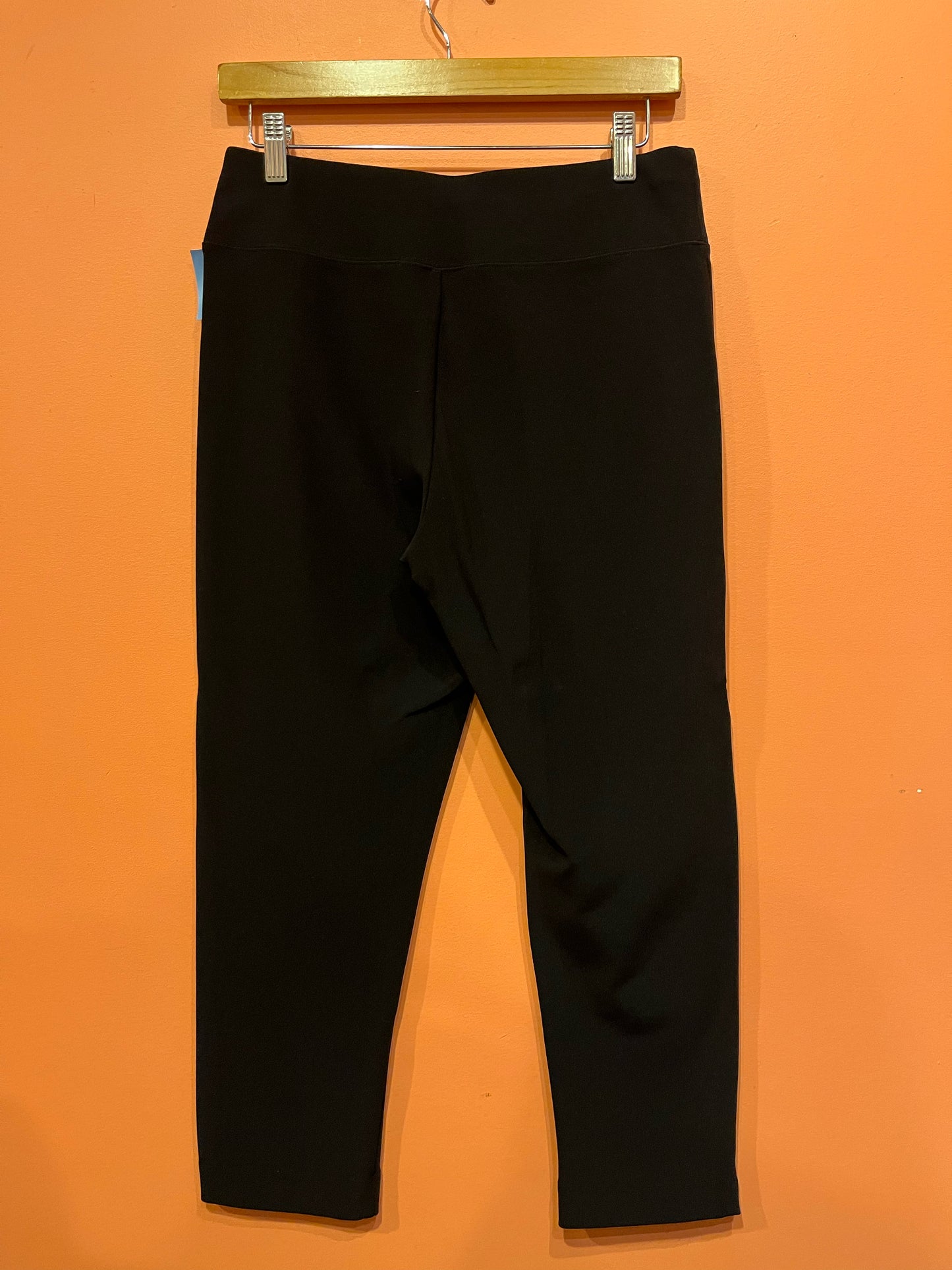 Size S Boston Proper Pants