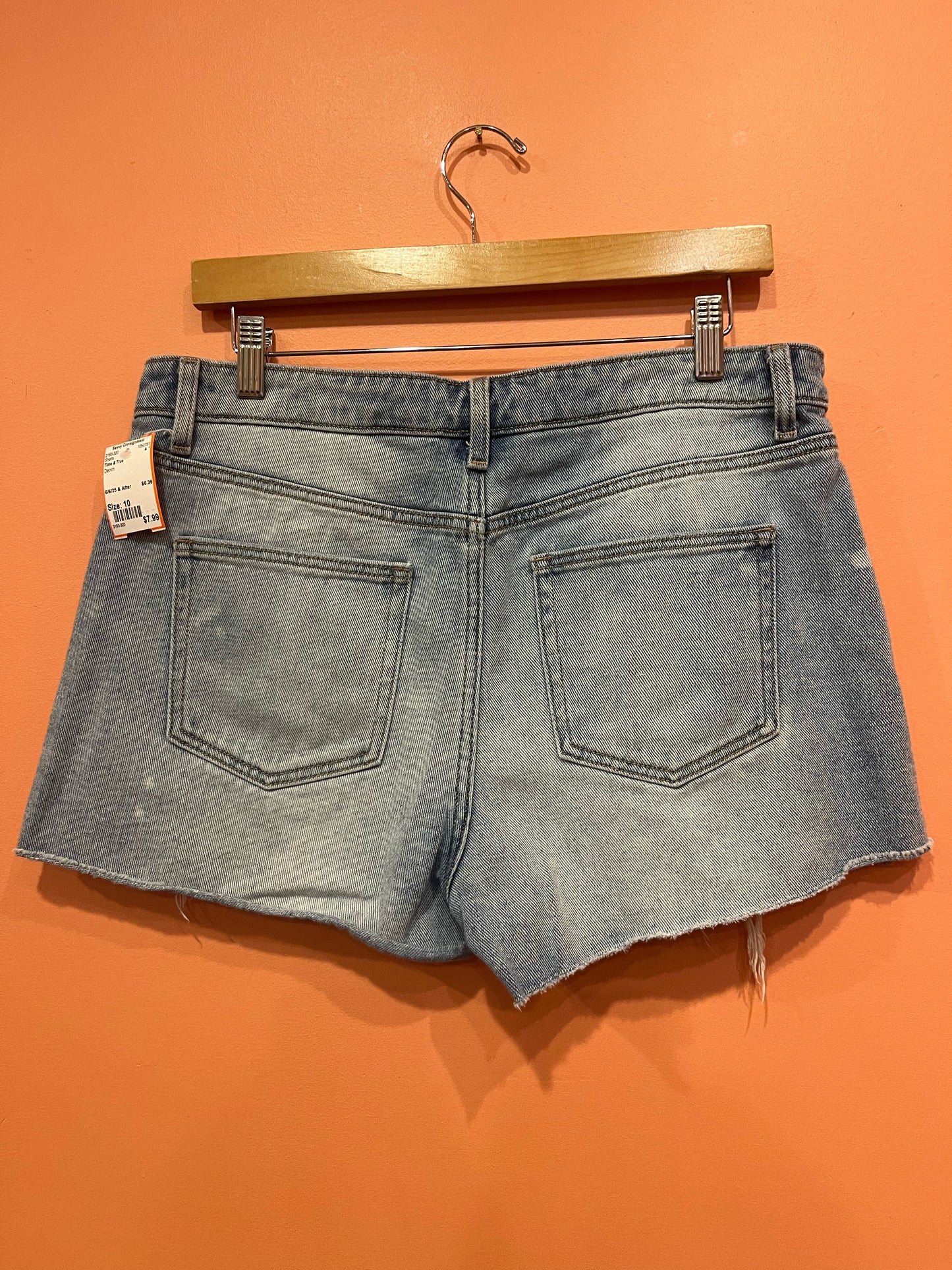 Size 10 Time & True Shorts