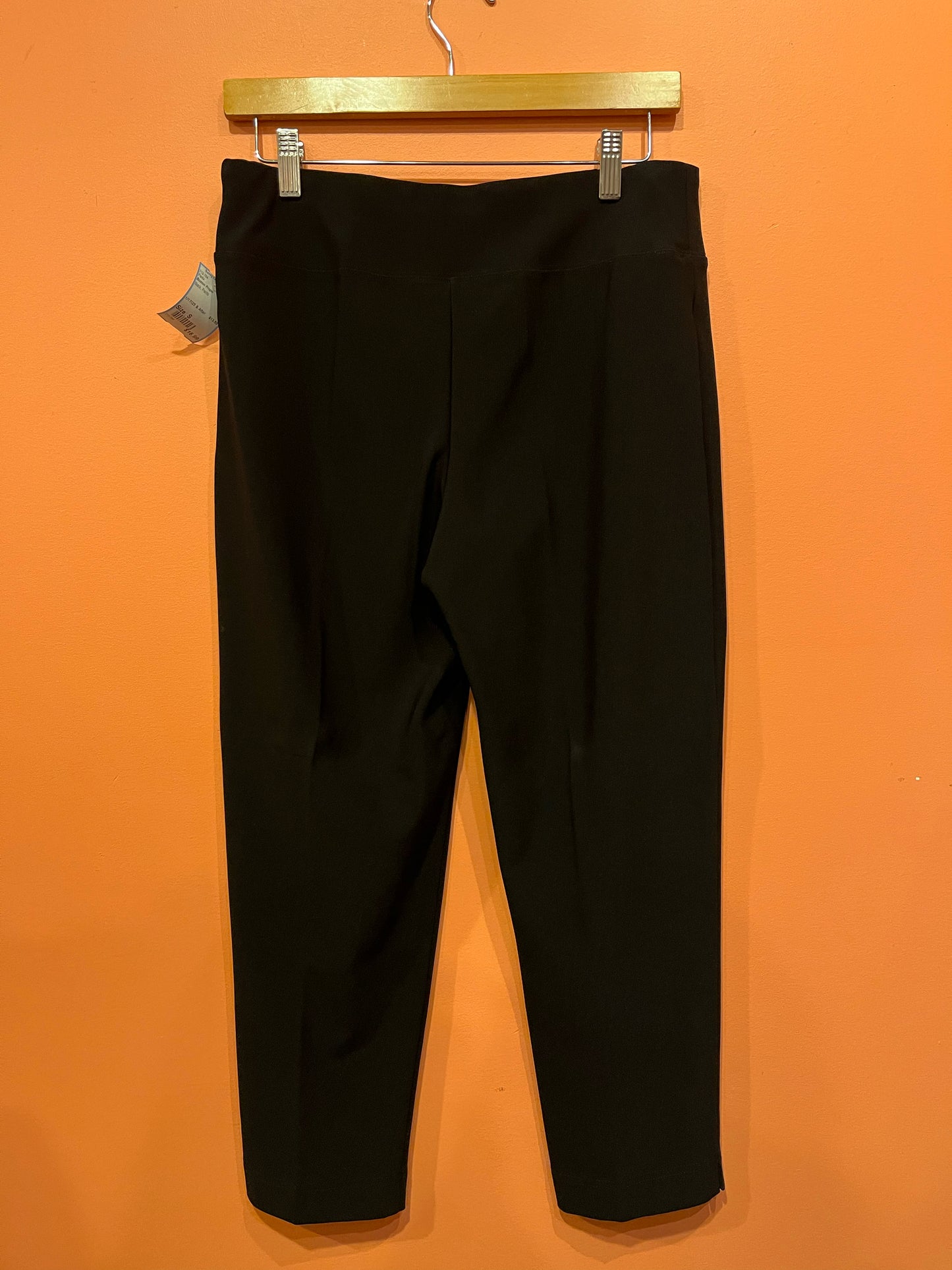 Size S Boston Proper Pants