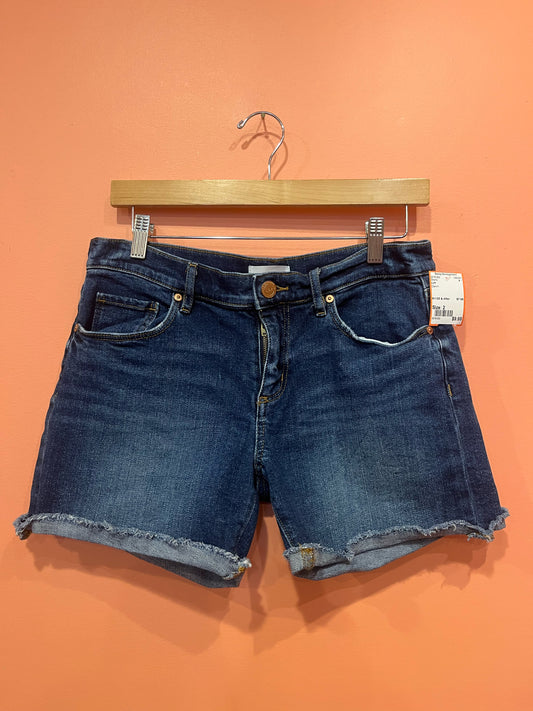 Size 2 Loft Shorts