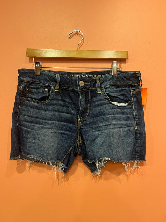 Size 10 American Eagle Shorts