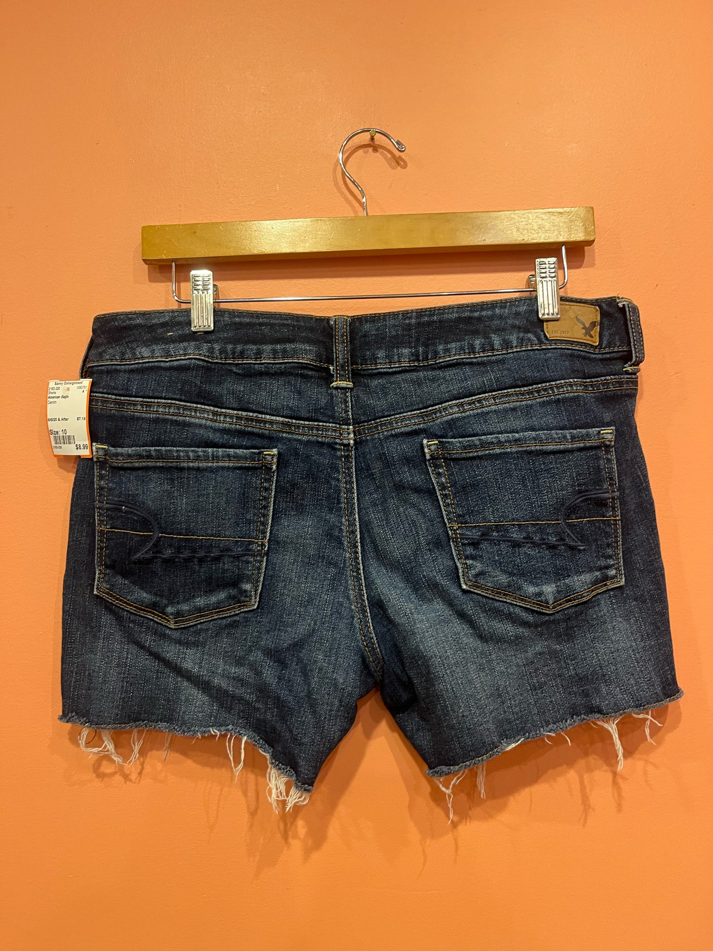 Size 10 American Eagle Shorts